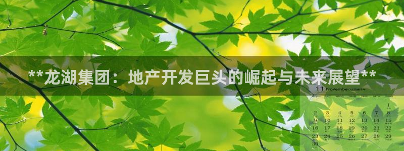 永利背一分什么价格