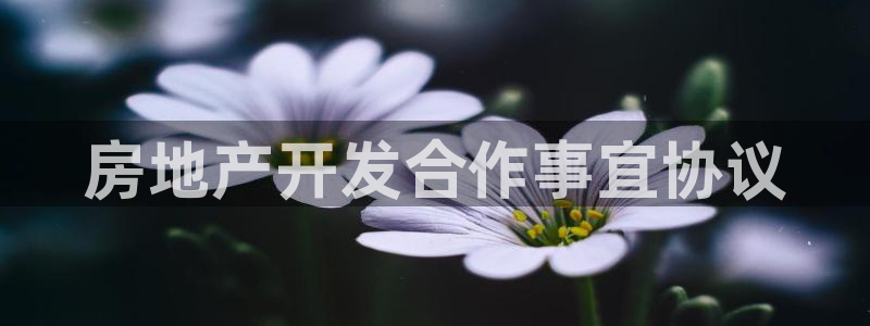 永利提不了款怎么办