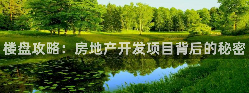 佛山永利批发市场在哪里