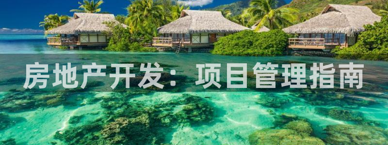 永利集团董事长