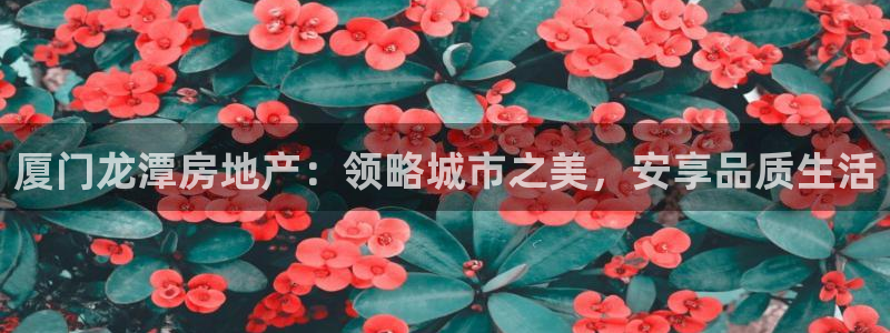 永利皮带型号说明图