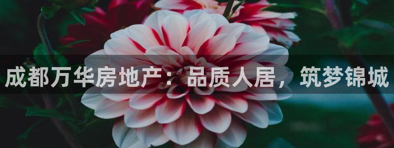 永利中国葡萄酒大赛 银奖获奖名单
