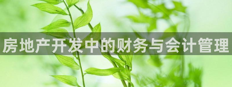 滨州永利集团
