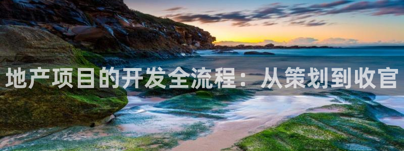 忘了永利集团的网址了