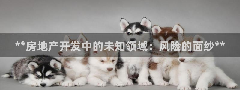 永利睹钱