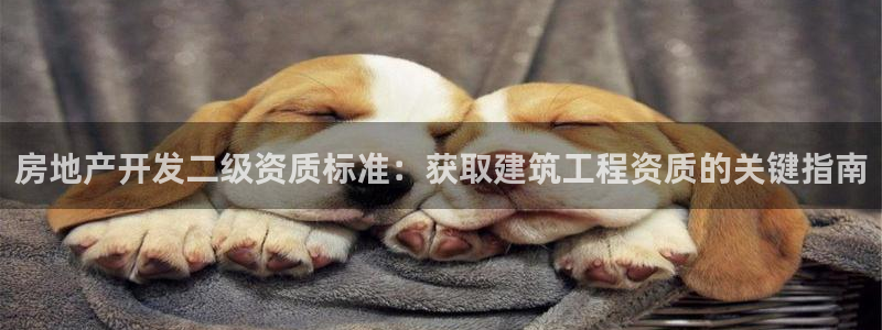 永利 陈志玲