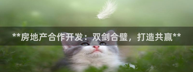 永利官网是什么