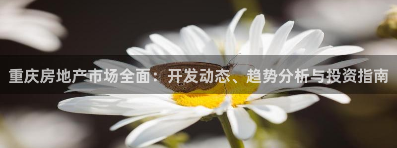 永利创始人