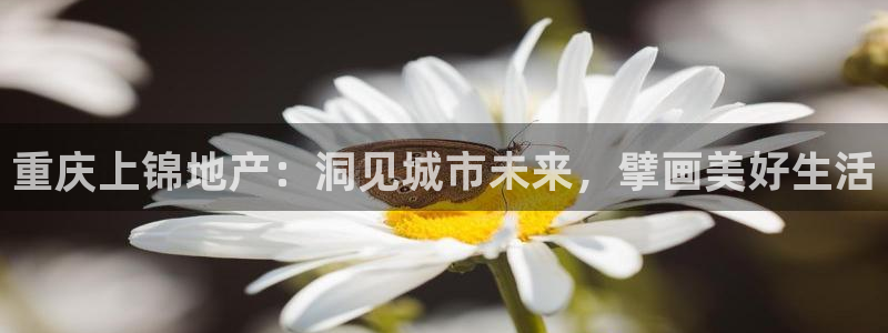 永利纺织有限公司