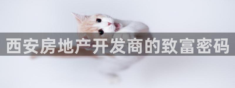 永利背一分什么价格