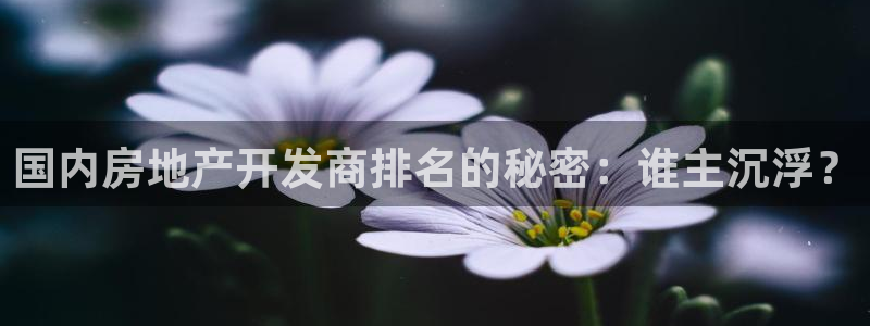 永利官网查询