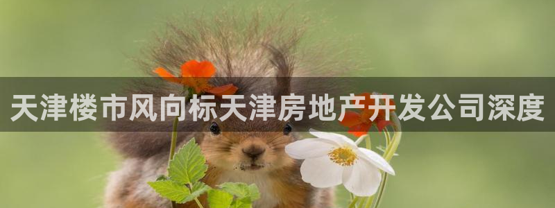 永利工艺品有限公司