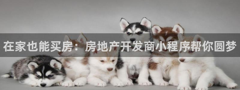 永利皮具厂东莞