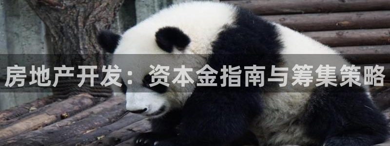 永利制带公司管理人员名单