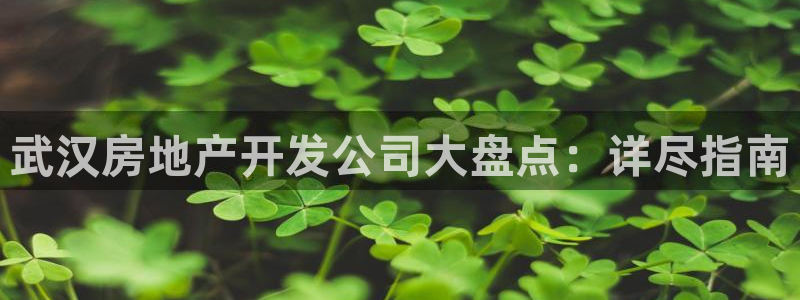 永利制带股票