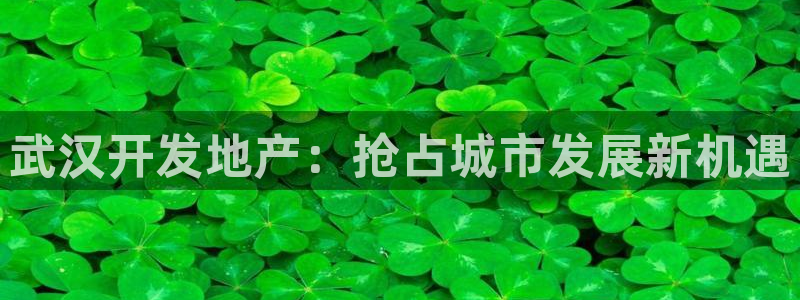 永利皮具厂东莞