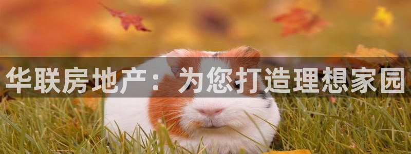 永利制带股票