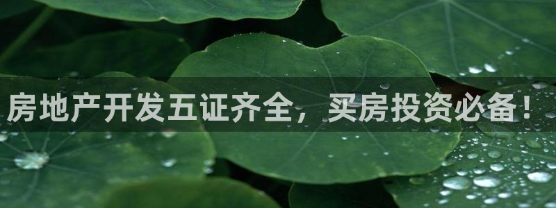 永利网是不是真的便宜