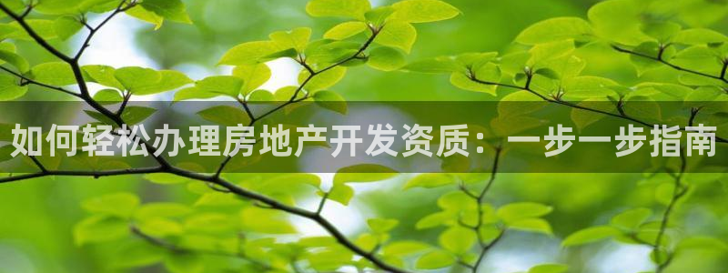 永利黄府黄立青信鸽图片