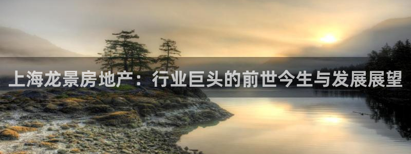 浙江永利集团