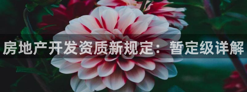 永利制带股票