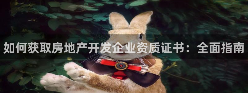 永利表行为什么那么便宜