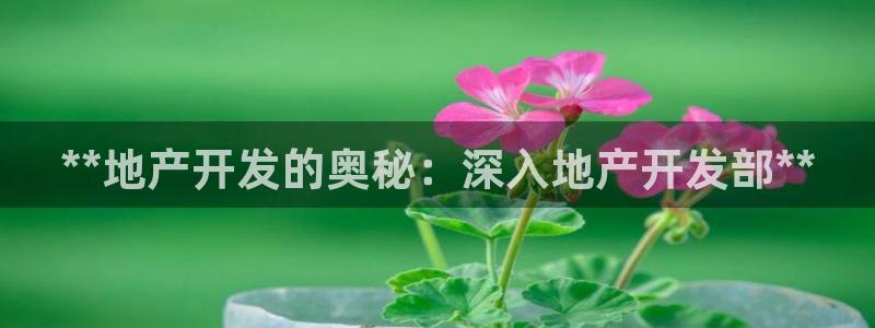 永利皇宫是金沙的吗