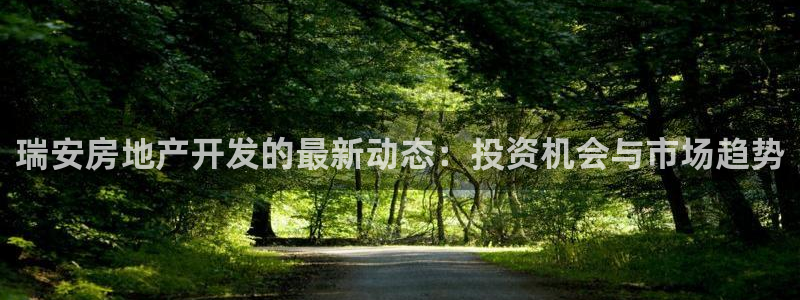 永利房地产有限公司董事长是谁