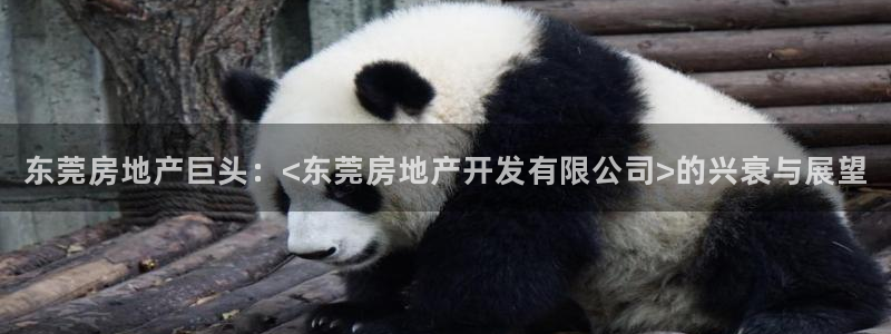 永利贴吧