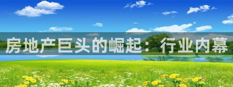永利地产