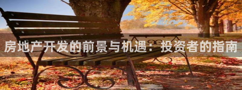 金沙永利夜总会怎么样