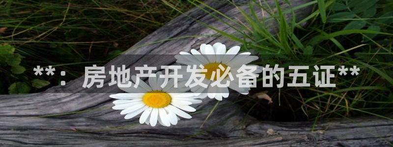 永利打不开