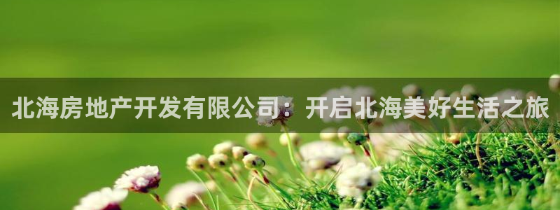 澳门永利图片夜景