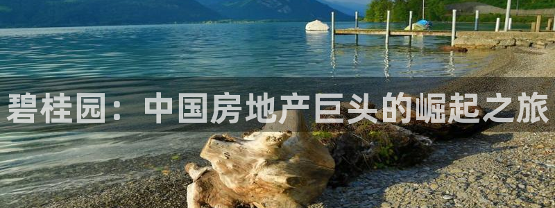 永利游乐城网址查询