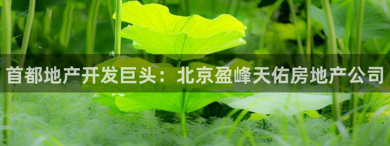 永利官网是什么