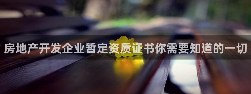 永利网是不是真的