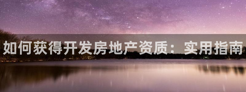 永利有限责任公司