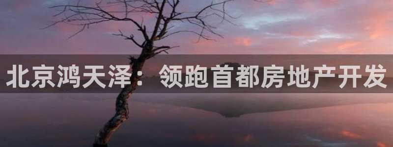 永利股份做什么