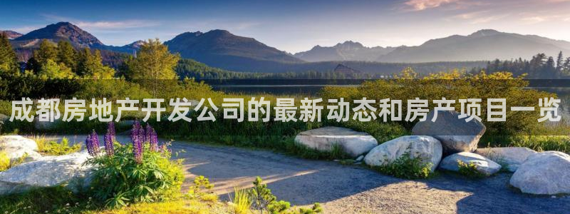 永利正版