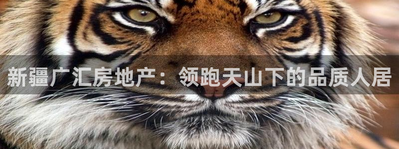 永利表业制品厂