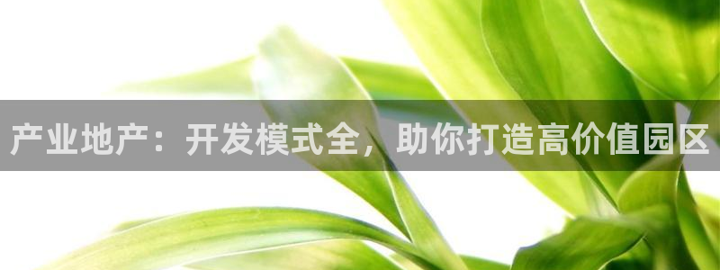 滨州永利集团