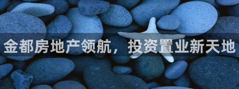 永利皮带型号说明图解