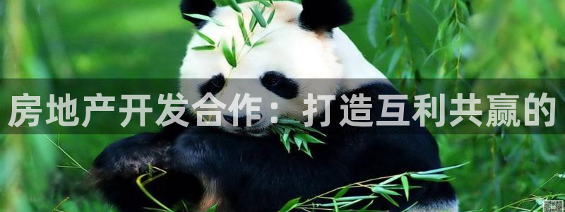 永利官网正网