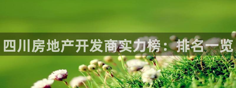 永利中国的老板是谁