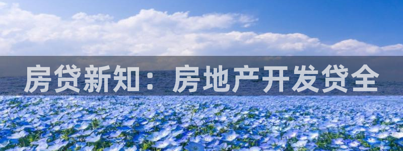 永利是啥意思