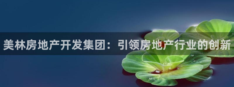 永利是啥意思