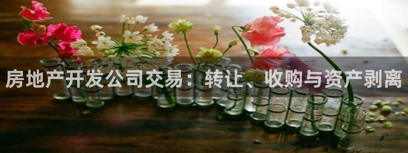 永利网是受国家法律保护吗