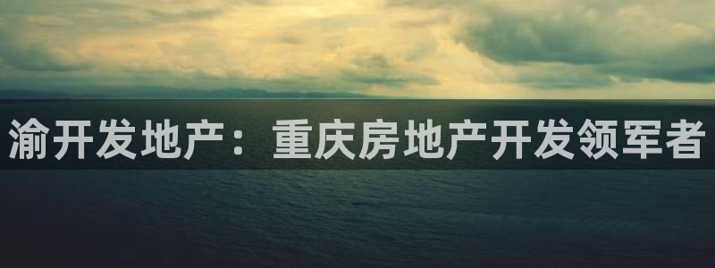 永利皮带报价