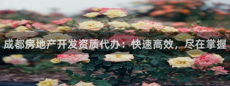 永利表行为什么那么便宜