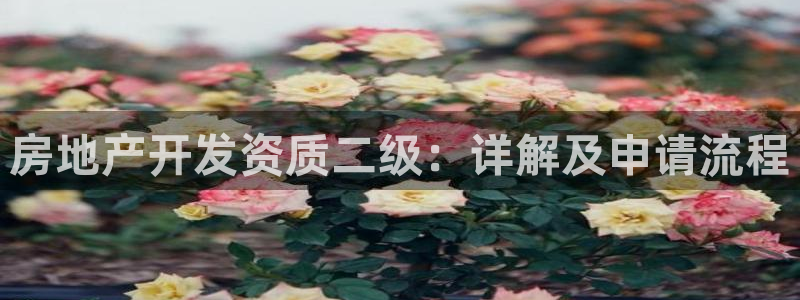 滨州永利集团